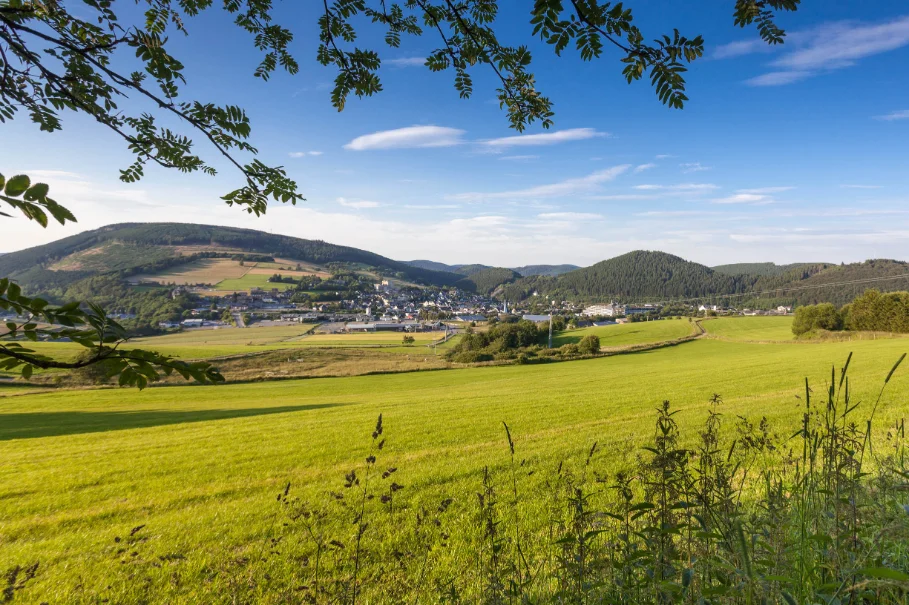 Blick vom Ettelsberg auf Willingen