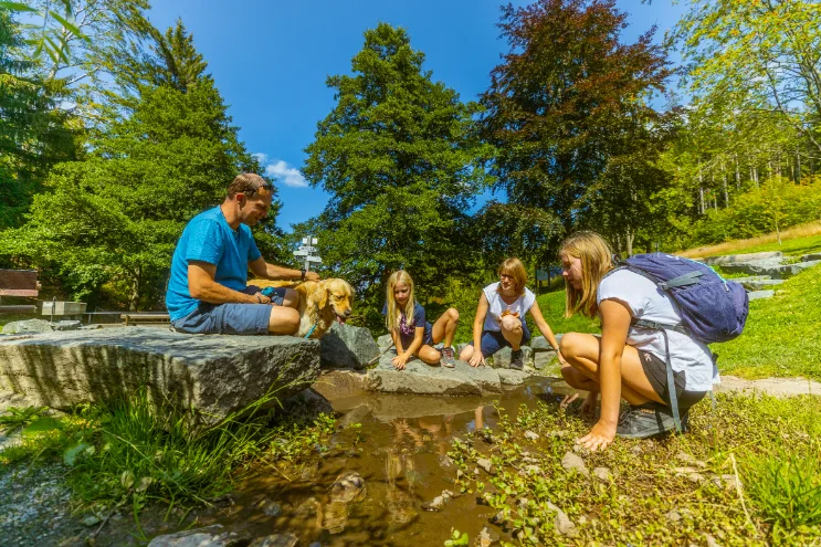 Familie an der Diemelquelle in Willingen-Usseln