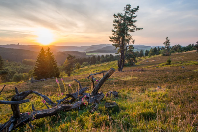 Luftaufnahme der Hochheide bei Willingen