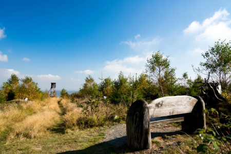 Ferienhäuser in Willingen