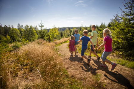 Kinder beim Wandern auf dem Ettelsberg bei Willingen