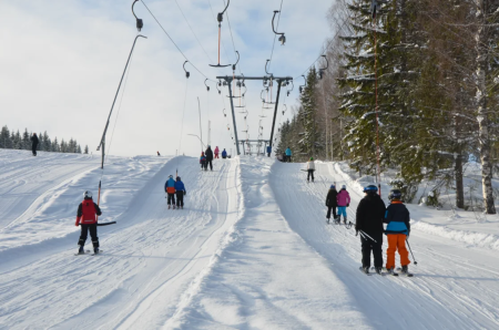 Skifahrer bei einer Privatstunde in Willingen