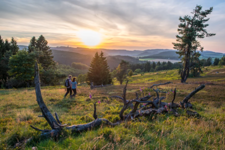 Wanderer in der Hochheide bei Willingen