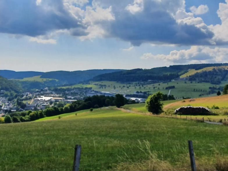 Weiland met een houten hek en de Bruchhauser Steine op de heuvel erachter – Kinderbelevingspad Drumecke, Willingen