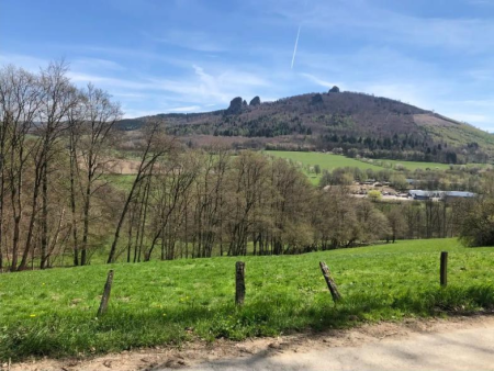 Glooiende weiden met het dorp in het dal en beboste heuvels – Ettelsberg en Schieferberg vanuit Willingen, Willingen