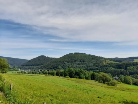 Kale hoogheide met bosranden en uitzicht in de verte – Skywalk en Hochheideturm vanaf de Muhlenkopfschanze, Willingen