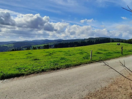 Uitzicht over akkers en weiden met beboste heuvels aan de horizon – Graf-Stolberg-hut en Kahler Pön vanuit Usseln, Willingen
