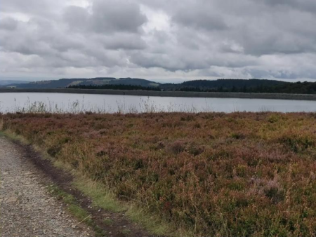 Onverhard pad door de heide met herfstkleurige begroeiing – Hoppecketal Trail en Ettelsberg vanuit Willingen, Willingen