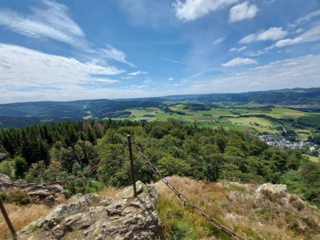 Bospad tussen jonge berken en sparren over de heuvelrug – Langenberg-rondweg vanuit Bruchhausen, Willingen